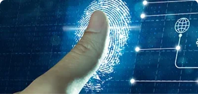 Digital Fingerprinting Pricing